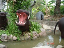 Поездка в Тай 11 !!!