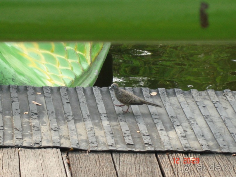 Поездка в Тай 11 !!!