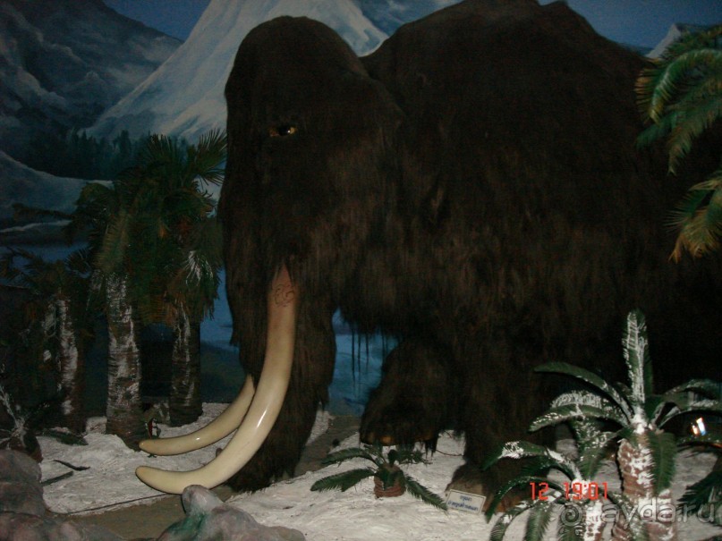 Поездка в Тай 11 !!!