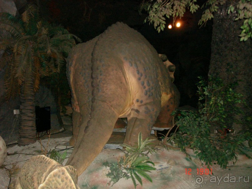 Поездка в Тай 11 !!!