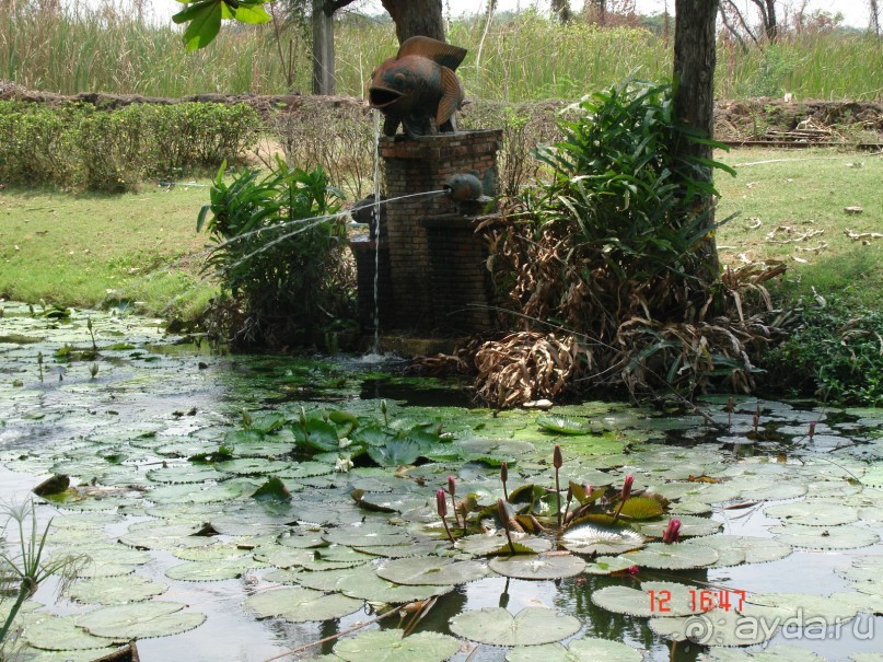 Поездка в Тай 11 !!!