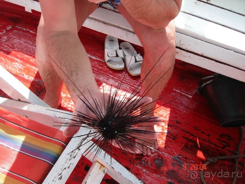 Поездка в Тай 8!!!