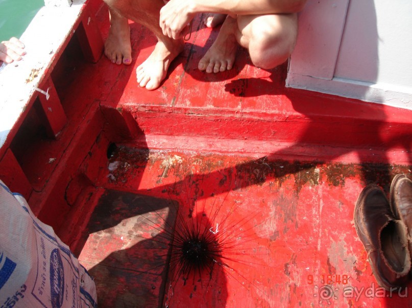 Поездка в Тай 8!!!