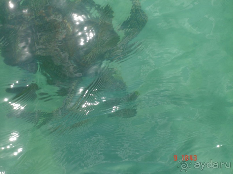 Поездка в Тай 8!!!