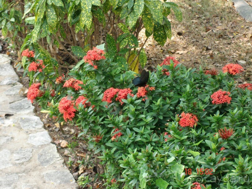 Поездка в Тай 16!!!