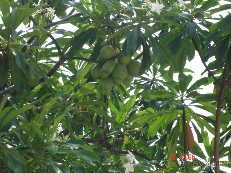 Поездка в Тай 16!!!