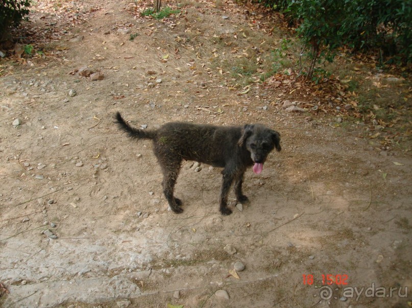 Поездка в Тай 16!!!