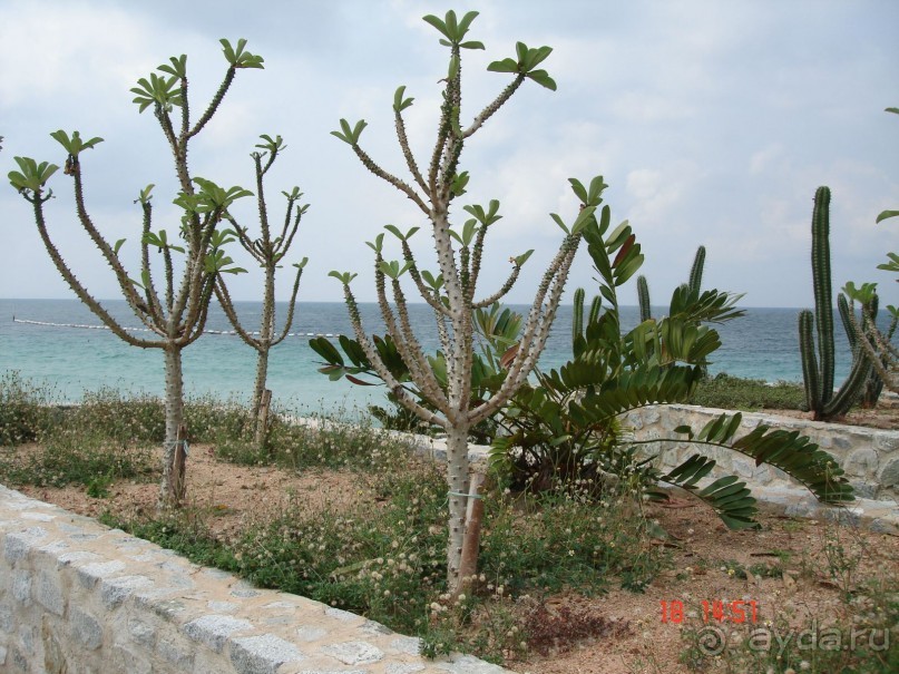 Поездка в Тай 16!!!