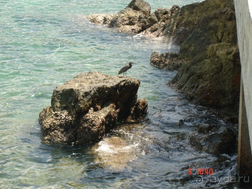 Поездка в Тай 3!!!