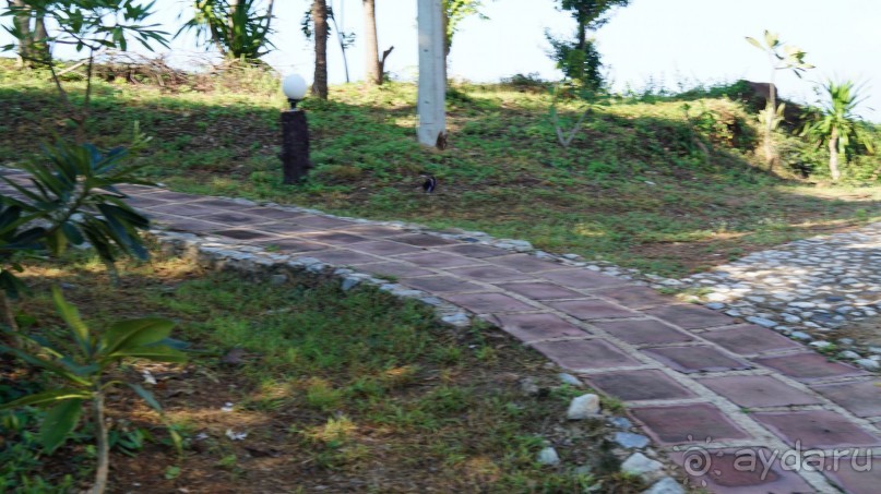 В Паттайю через Пекин