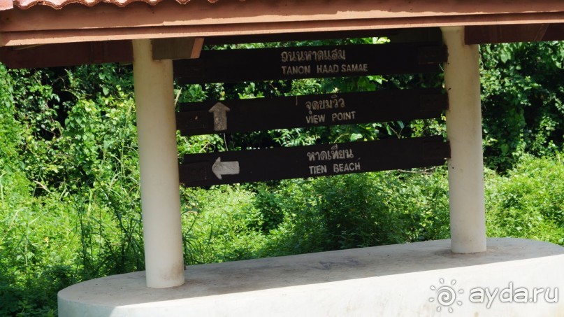 В Паттайю через Пекин