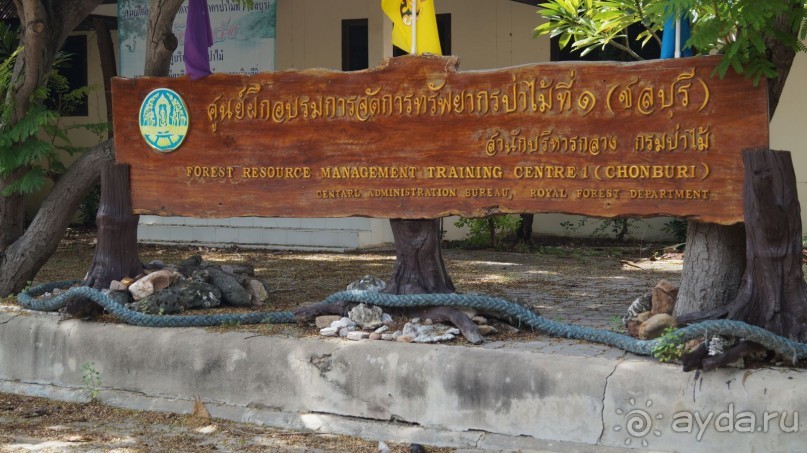 В Паттайю через Пекин