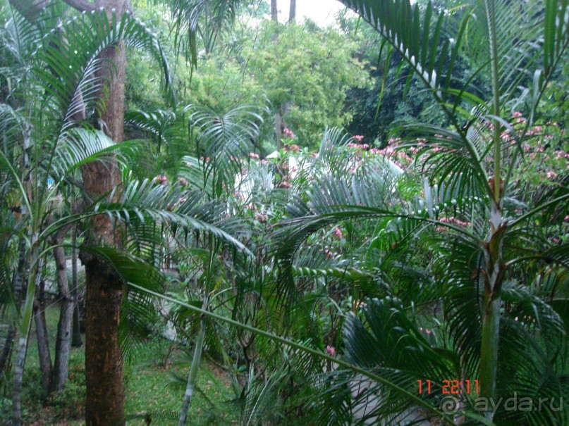 Поездка в Тай 10!!!