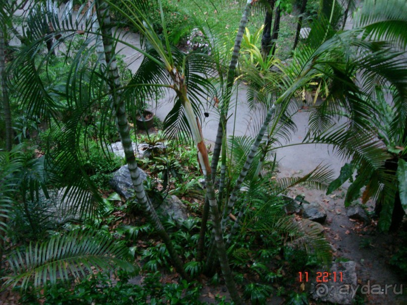 Поездка в Тай 10!!!