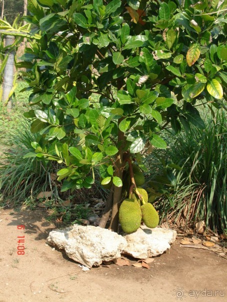 Поездка в Тай 6!!!