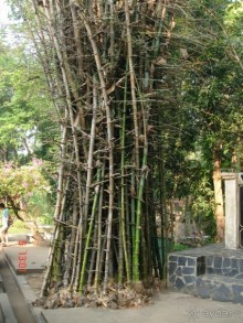 Поездка в Тай 6!!!