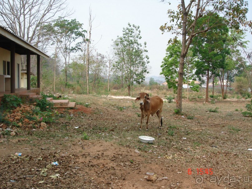 Поездка в Тай 6!!!