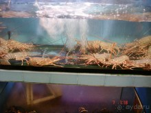 Поездка в Тай 6!!!