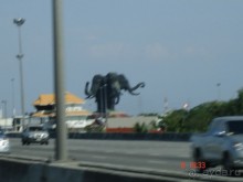 Поездка в Тай 6!!!