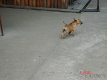 Поездка в Тай 6!!!