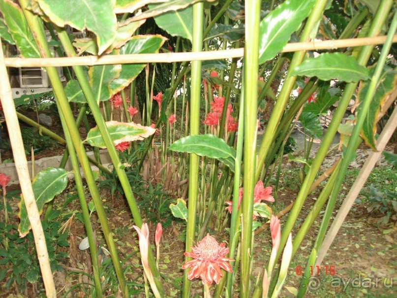 Поездка в Тай 6!!!