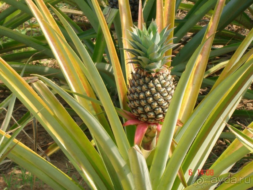 Поездка в Тай 6!!!