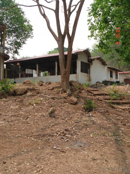 Поездка в Тай 6!!!