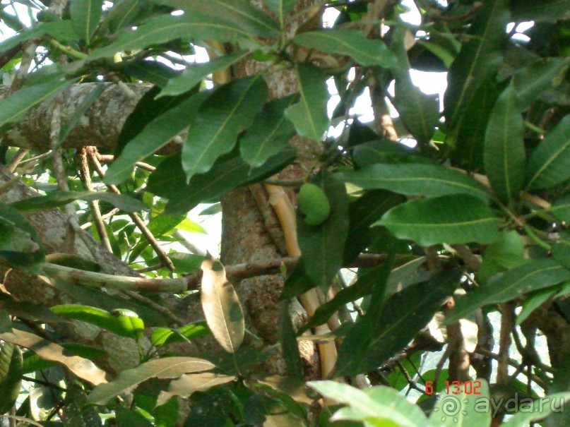 Поездка в Тай 6!!!