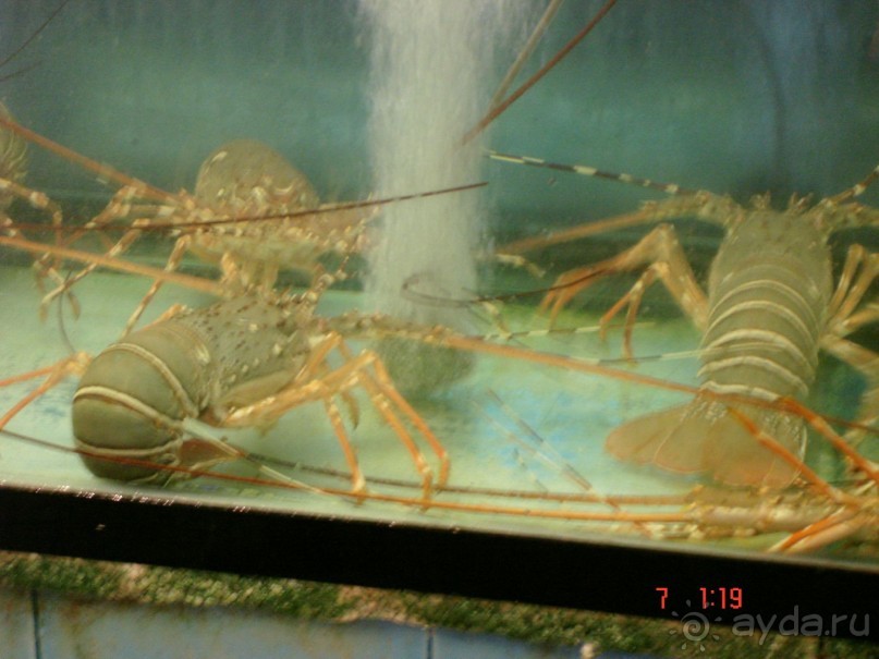 Поездка в Тай 6!!!