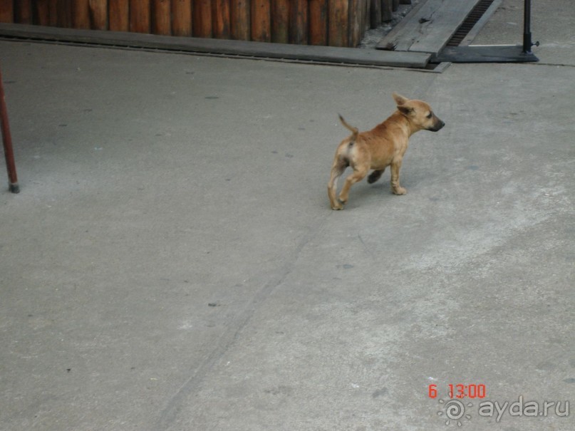 Поездка в Тай 6!!!