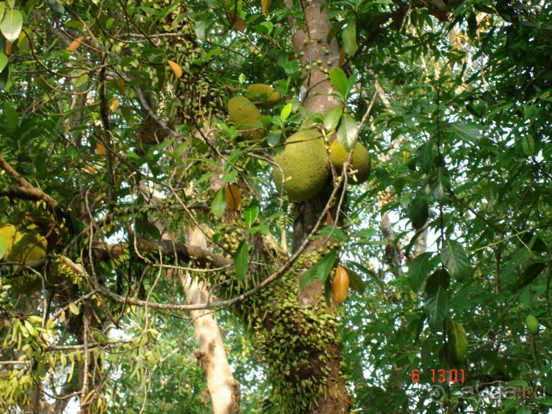 Поездка в Тай 6!!!