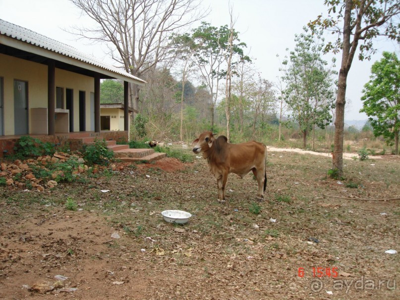 Поездка в Тай 6!!!