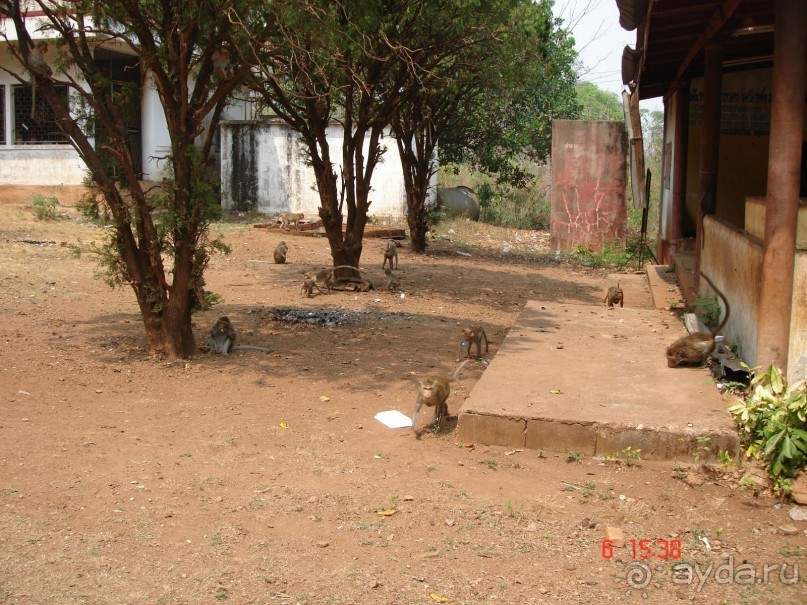 Поездка в Тай 6!!!