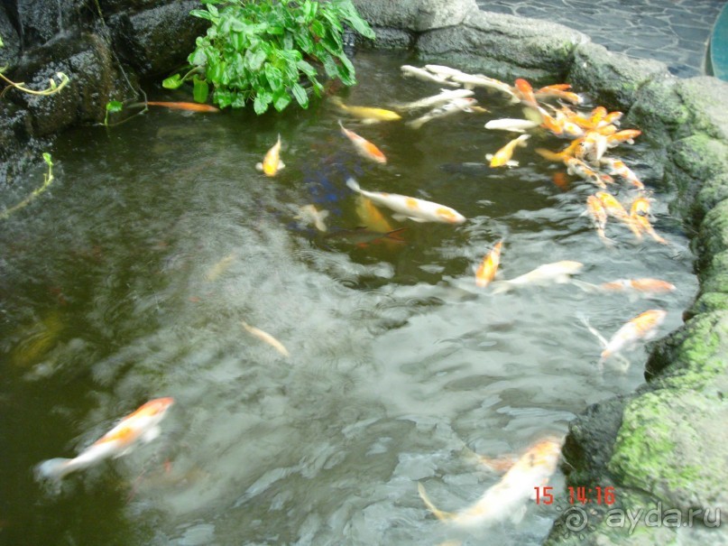 Поездка  Тай 14!!!