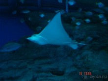 Поездка  Тай 14!!!