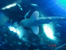 Поездка  Тай 14!!!