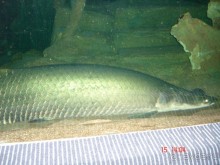 Поездка  Тай 14!!!