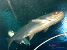 Поездка  Тай 14!!!