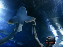 Поездка  Тай 14!!!