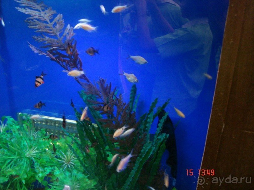 Поездка  Тай 14!!!