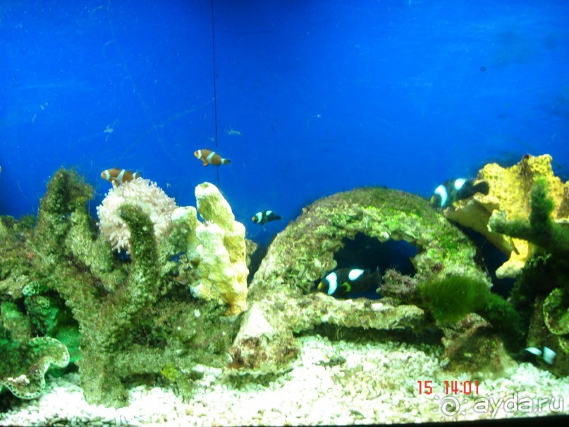 Поездка  Тай 14!!!