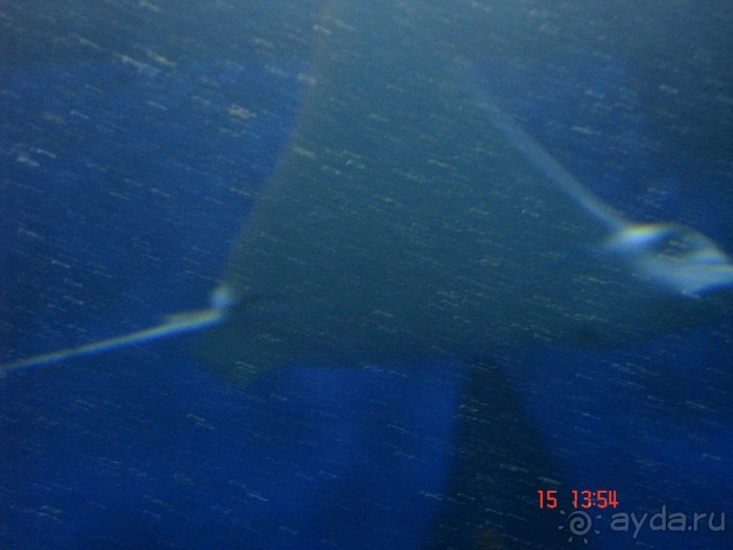 Поездка  Тай 14!!!