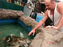 Поездка  Тай 14!!!