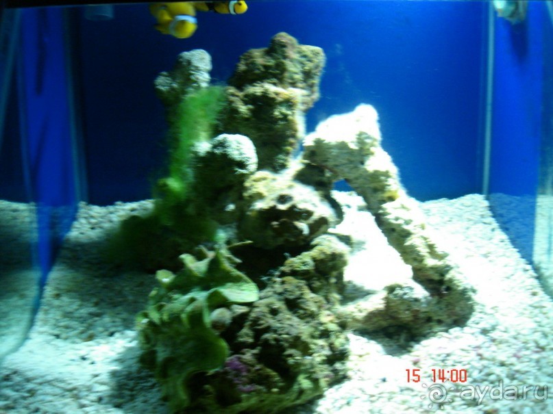 Поездка  Тай 14!!!