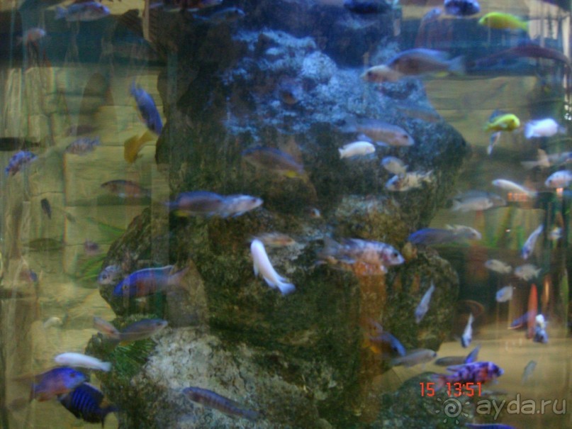 Поездка  Тай 14!!!