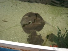 Поездка  Тай 14!!!