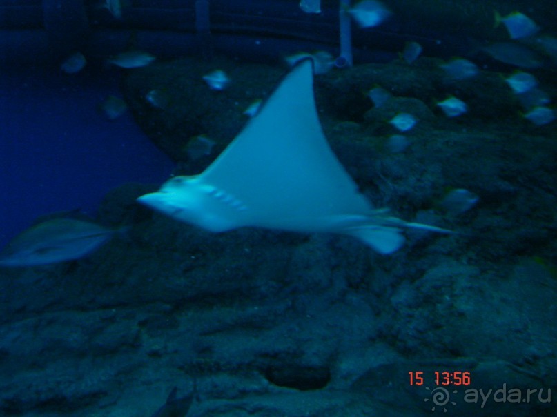 Поездка  Тай 14!!!