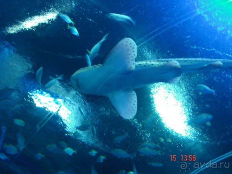 Поездка  Тай 14!!!