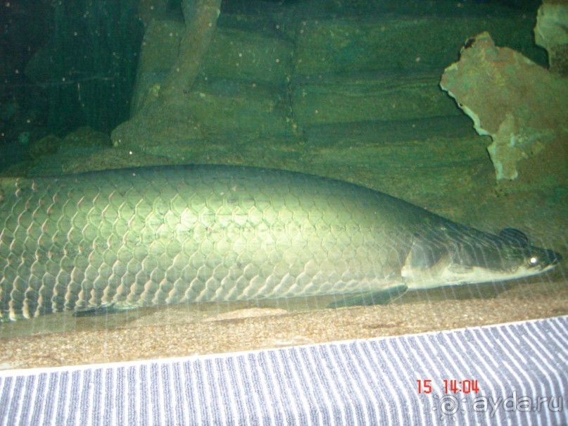 Поездка  Тай 14!!!