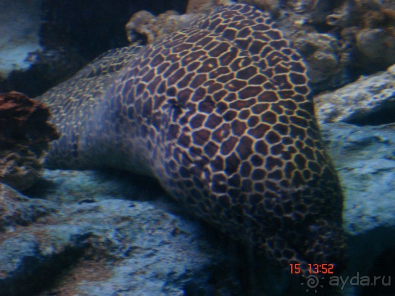 Поездка  Тай 14!!!